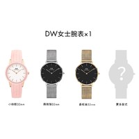 Daniel Wellington 女士腕表 盲盒