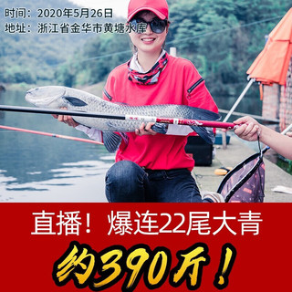 佳钓尼东来鱼竿手杆超轻超硬鱼杆手竿综合竿台钓竿野钓鱼竿 6.3米