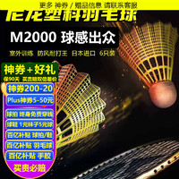 YONEX 尤尼克斯 羽毛球M2000黃色尼龍室內外訓練飛行穩定耐打YY塑料膠球