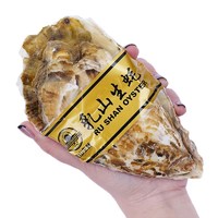 PLUS会员：乳山生蚝 超大号 XXXXXL 净重4.5斤装 约10-12只