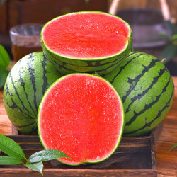 新鲜冰糖麒麟西瓜45斤整个