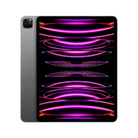 Apple 苹果 iPad Pro 2022款 11英寸平板电脑 256GB WLAN版