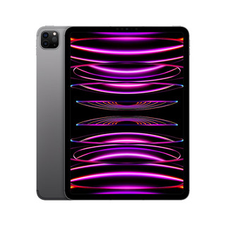 Apple 苹果 iPad Pro 11英寸 2022年款(256G 5G版/M2芯片Liquid视网膜屏/MNYQ3CH/A) 深空灰色