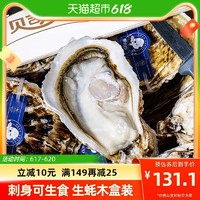 BEISILING 贝司令 可生食刺身级乳山生蚝鲜活牡蛎12只装海蛎子海鲜木箱礼盒装