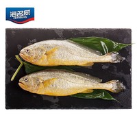 PLUS会员：海名威 鲜冻黄花鱼 2条 共700g+赠黑鱼片 300g