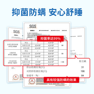 匠选凉席冰丝席三件套可折叠可机洗空调双人绣花席子 毛巾绣灰色 150*200cm 一席二枕套