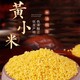 野三坡 山西黄小米 500g*10包共10斤（五谷杂粮 山西长治黄小米 小米粥）