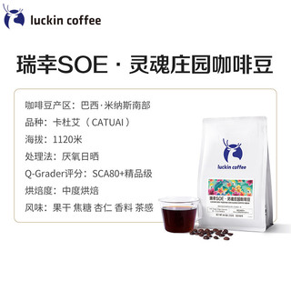 瑞幸咖啡 SOE精品庄园豆巴西卡杜艾咖啡豆250g