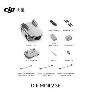 大疆（DJI）Mini 2 SE入门迷你航拍机 高清影像便携轻巧可折叠无人机 标准版+128G内存卡+单肩包+停机坪 随心换 1年版