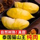 鲜级佳   筛选泰国猫山王榴莲肉1公斤