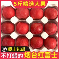 王掌柜正宗山东烟台栖霞苹果红富士水果冰糖心3/5斤大果