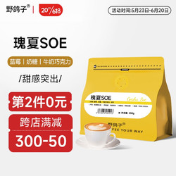 野鸽子 花魁SOE咖啡豆 250g