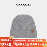 蔻驰（COACH）/男士山便帽 灰色 均码