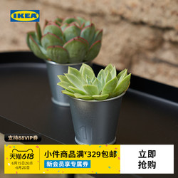 IKEA 宜家 AKERBAR阿克巴装饰用花盆多肉植物复古小花盆园艺绿植盆