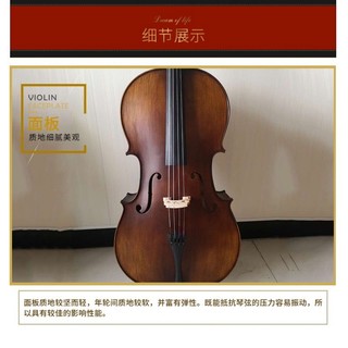 初学练习大提琴 彩色大提琴