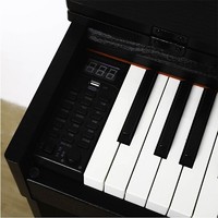 LOUDAN 电钢琴88键立式重锤 专业成人初学者家用幼师电子钢琴数码电子钢琴