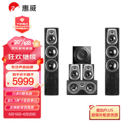 HiVi 惠威 D50HT+Sub10G音响 家庭影院套装5.1声道HIFI高保真 木质落地式 家用客厅电视音箱 全国免费安装