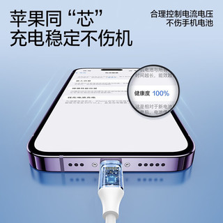 SMARTDEVIL 闪魔 京东自营USB-A转Lightning 2.4A 数据线 1.2m 两条装