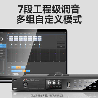 山水（SANSUI）DSP1 卡拉OK前级效果器 数字前级效果器 专业KTV话筒防啸叫音频处理器 DSP1专业前级效果器