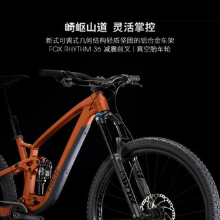 TREK 崔克 山地车 FUEL EX 8轻量化竞赛级全避震林道山地自行车 哑光金铜色 门店提取 轮径 - 29英寸/车架尺寸 - ML 12速