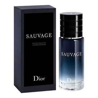 迪奥（Dior）旷野男士香水 EDT淡香水 100ml