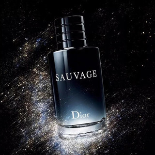 迪奥（Dior）旷野男士香水 EDT淡香水 100ml
