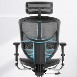 Ergonor 保友办公家具 金卓系列 人体工学电脑椅