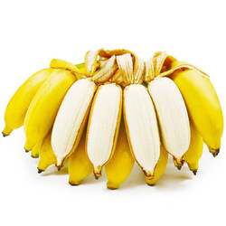 CHENGNANBAOHUA 城南堡花 广西小米蕉现摘小香蕉新鲜水果 约5斤装