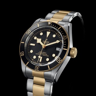 TUDOR 帝舵 碧湾系列 41毫米自动上链腕表 M79733N-0008