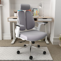 人体工学椅电脑椅家用舒适久坐护腰学习椅书桌办公椅可躺椅子