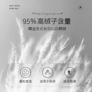 梦洁家纺 绒耀分区95%白鹅绒厚被冬季被子被芯加厚保暖 白色 220*240cm