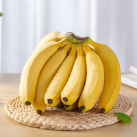 乡语小吖云南高山香蕉3斤 新鲜水果 当季 高山大香蕉 芭蕉 香甜软糯 生鲜