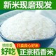 五常稻花香米20斤装20年新大米正宗东北长粒米稻香米10斤