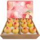 阳山 无锡 水蜜桃 专享单果4-5两 12个礼盒装