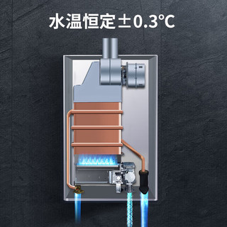 CHANGHONG 长虹 12升燃气热水器智能预约ECO节能多分段燃烧低水压启动恒温天然气热水器12H2S