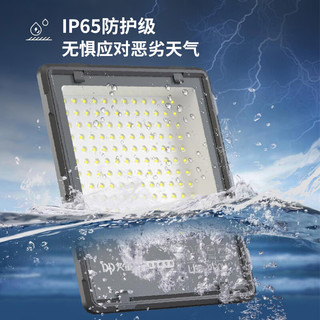 DP久量（Duration power）LED投光灯园林照明投射灯 PI65防水户外大功率探照灯工业路灯-50W