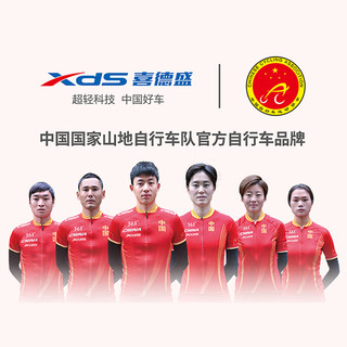 XDS 喜德盛 中国风喜德盛自行车山地车山地自行车变速通勤 26寸黑/金