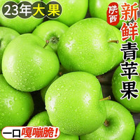 乡语小吖陕西青苹果 8.5斤 青苹果 现摘现发 新鲜当季酸甜脆应季水果