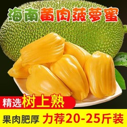 海南三亚菠萝蜜20-27斤新鲜水果现摘木波罗蜜一整个黄肉整箱