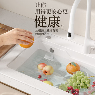 日丰厨房水槽洗菜盆单槽白色洗碗池淘菜盆台下盆RF-SD765053MD
