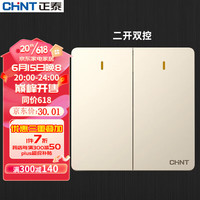 CHNT 正泰 开关插座墙壁面板 86型无边框大面板NEW6C 香槟金 斜五孔插座 二开双控