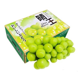 日本引进 阳光玫瑰葡萄 5斤礼盒装 单果8-10克