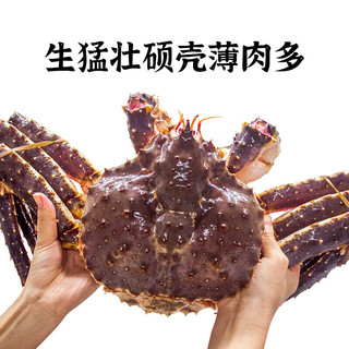 渔传播 同城速配 进口鲜活帝王蟹4.5-5斤/只海鲜水产