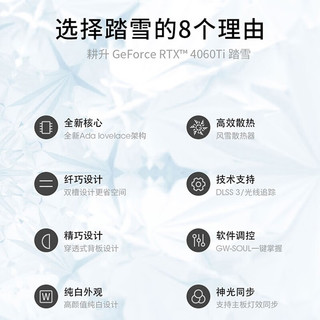 GAINWARD 耕升 GeForce  RTX4060TI 踏雪 8G