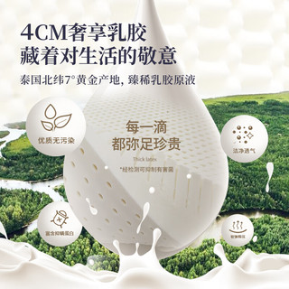 AIRLAND 雅兰 床垫 轻奢加厚乳胶床垫恒温记忆棉独袋弹簧家用席梦思床垫 维纳斯 维纳斯床褥 1.5*2m