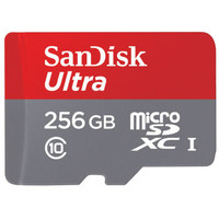 SanDisk 闪迪 至尊高速移动 TF内存卡 256GB