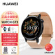 HUAWEI 华为 手表WATCH GT3 活力款（含氟橡胶黑色表带+原装水漾鎏金表带）