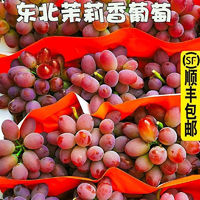 乡语小吖东北茉莉香葡萄 1斤 郁金玫瑰香葡萄红提子 当季新鲜水果生鲜