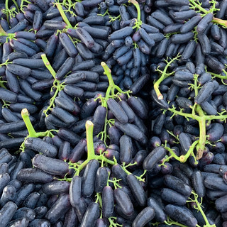 乡语小吖 澳洲金手指葡萄3斤 新鲜水果 进口葡萄 蓝宝石黑加仑 提子 生鲜