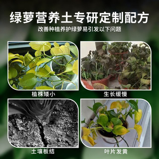 尚洋绿萝专用营养土16L园艺种菜养花土绿植种植颗粒土有机泥炭土壤
